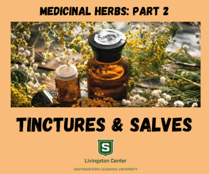 Picture of Medicinal Herbs: Part 2 Tincture & Salves (May 16th)