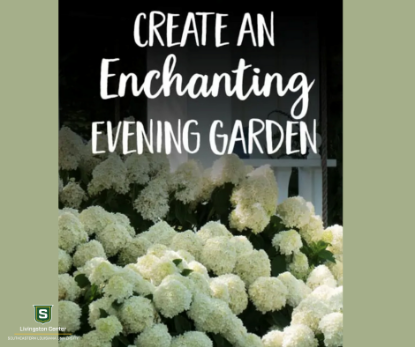 Picture of Create An Enchanting Night Blooming Garden (Jun 27th)