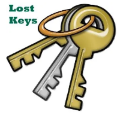 Picture of Lost Keys (Employee)