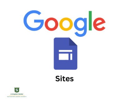 Picture of Google Sites (Feb 20th)