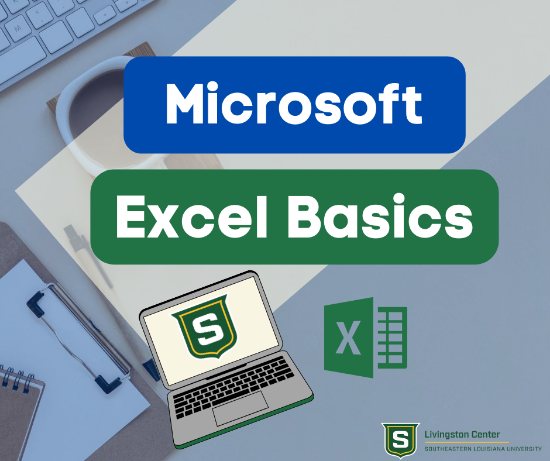 Picture of Microsoft Excel 1.0 Beginner (Mar 11th)