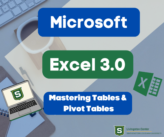 Picture of Microsoft Excel 3.0: Mastering Tables & Pivot Tables (Mar 18th)