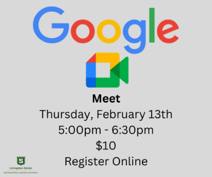 Picture of Google Meet (Feb 13th)