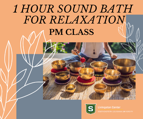 Picture of 1 Hour Sound Bath for Relaxation PM Class (July 23rd 6:00PM - 7:00PM)