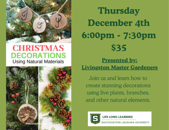 Picture of Christmas Decorations: Using Natural Materials (Thursday, Dec. 4th)