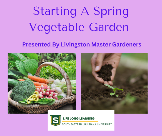 Picture of Starting A Spring Vegetable Garden (Thursday, January 29, 2026 6:00pm -7:30pm) 