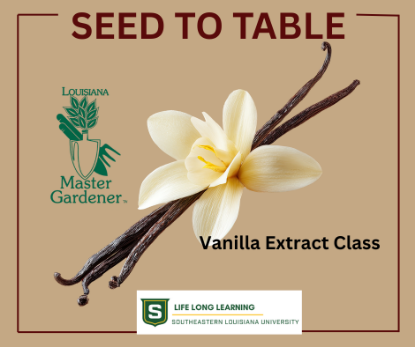 Picture of 2026 WALKER: Vanilla Extract Class (Thursday, July 23rd) 6:00pm-7:30pm 