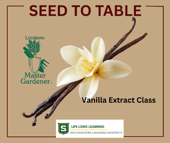 Picture of 2026 WALKER: Vanilla Extract Class (Thursday, July 23rd) 6:00pm-7:30pm 
