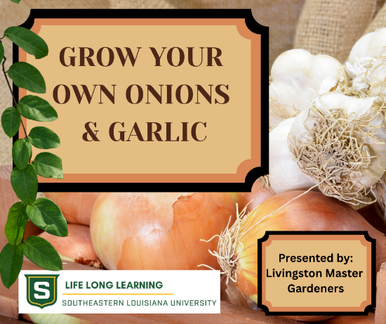 Picture of 2027 WALKER: Grow Your Own Onions & Garlic (Thursday, Oct. 29th) 6:00pm - 7:30pm