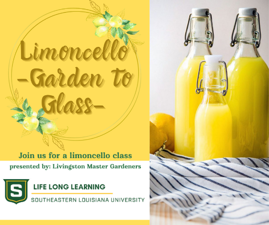 Picture of 2027 WALKER: Limoncello: Garden to Glass (Tuesday, Nov. 3rd) 5:30pm -7:30pm
