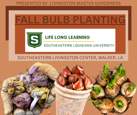 Picture of 2027 WALKER: Fall Bulb Planting With Livingston Master Gardeners (Thursday, Nov. 5th) 6:00pm - 7:30pm